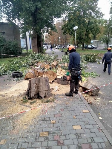 img-2c1b9e33c2a67c1825c9854fd54d426f-v