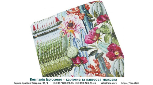 kompanija-brussonet-podarochnaja-bumaga-cvetushhij-kaktus