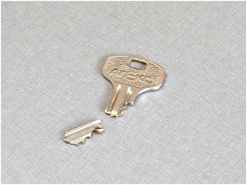 8dc78790-19e1-4f8b-886f-2820228cd138 8dc78790-19e1-4f8b-886f-2820228cd138