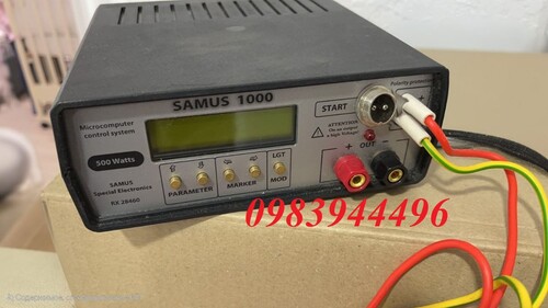 photo2024-11-1913-22-22